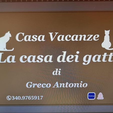 La Casa Dei Gatti Apartment Syracuse Luaran gambar